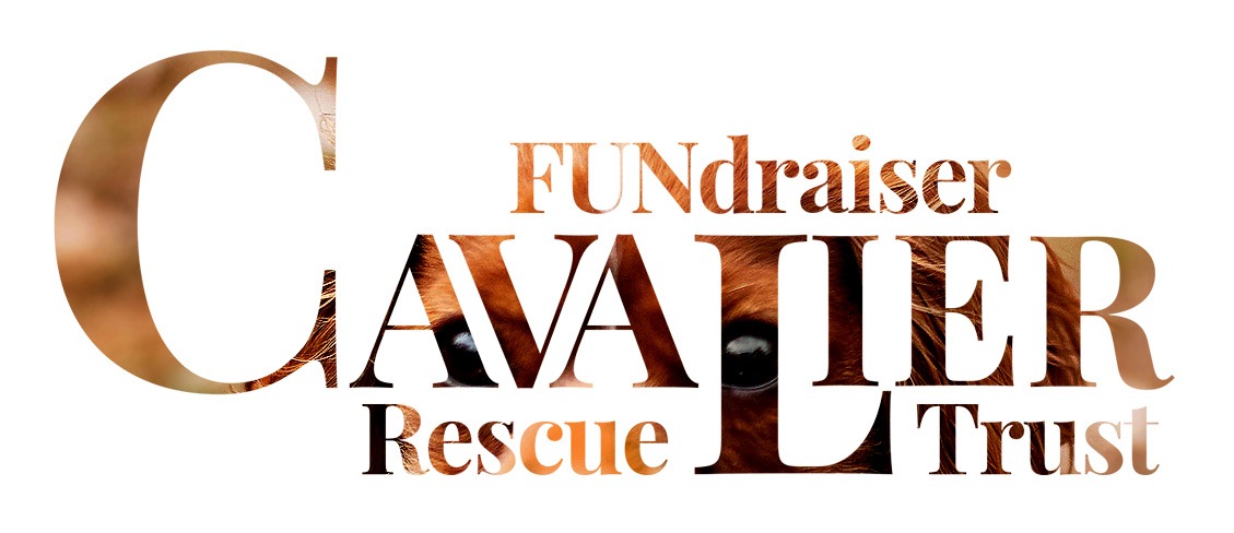 British Invasion: Celebrate Rescue FUNdraiser
