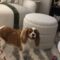 Velma in MidSouth
