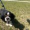 Max in Great Plains