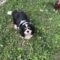 Jenny in MidSouth