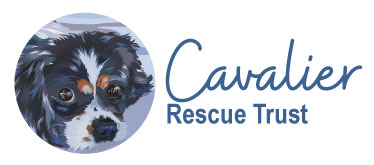Cavalier Rescue Trust