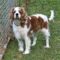 Zoey in the MidSouth